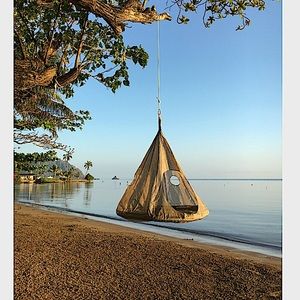 Hanging Hammock TearDrop Swing Chair